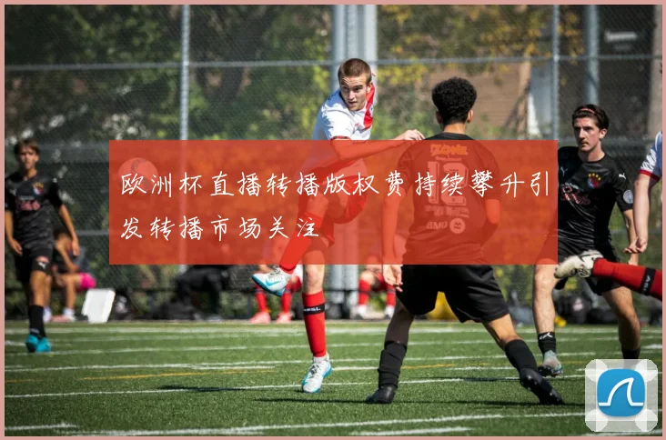 欧洲杯直播转播版权费持续攀升引发转播市场关注