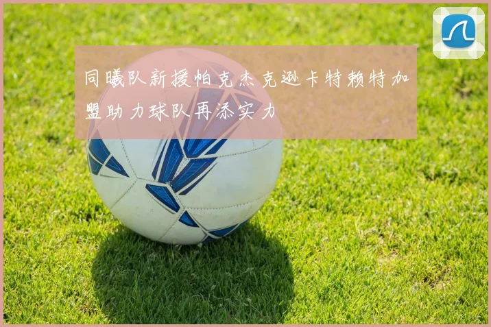 同曦队新援帕克杰克逊卡特赖特加盟助力球队再添实力