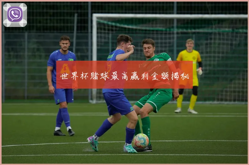 世界杯赌球最高赢利金额揭秘