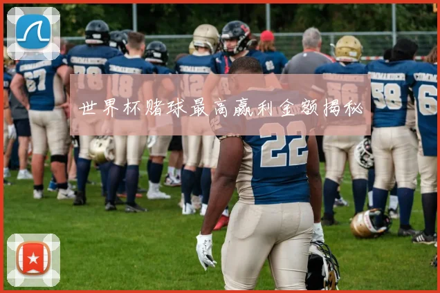 世界杯赌球最高赢利金额揭秘