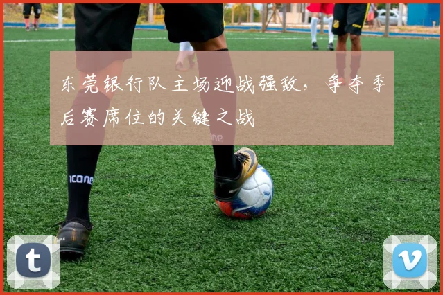 东莞银行队主场迎战强敌,争夺季后赛席位的关键之战