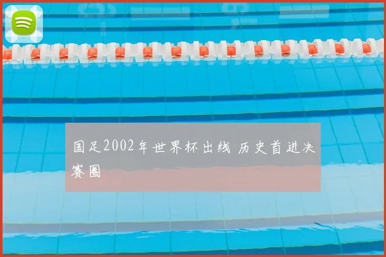 国足2002年世界杯出线 历史首进决赛圈