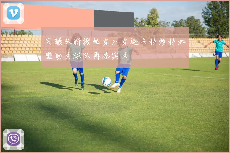 同曦队新援帕克杰克逊卡特赖特加盟助力球队再添实力