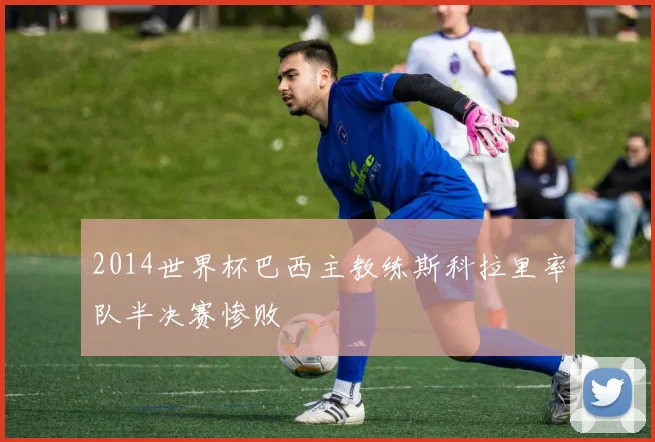 2014世界杯巴西主教练斯科拉里率队半决赛惨败