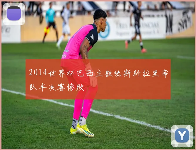 2014世界杯巴西主教练斯科拉里率队半决赛惨败