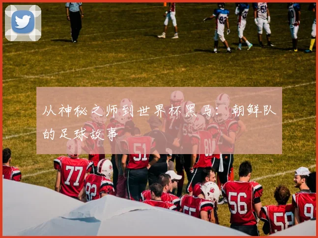 从神秘之师到世界杯黑马：朝鲜队的足球故事